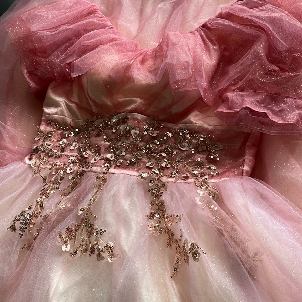 Ombré Heart Ballgown